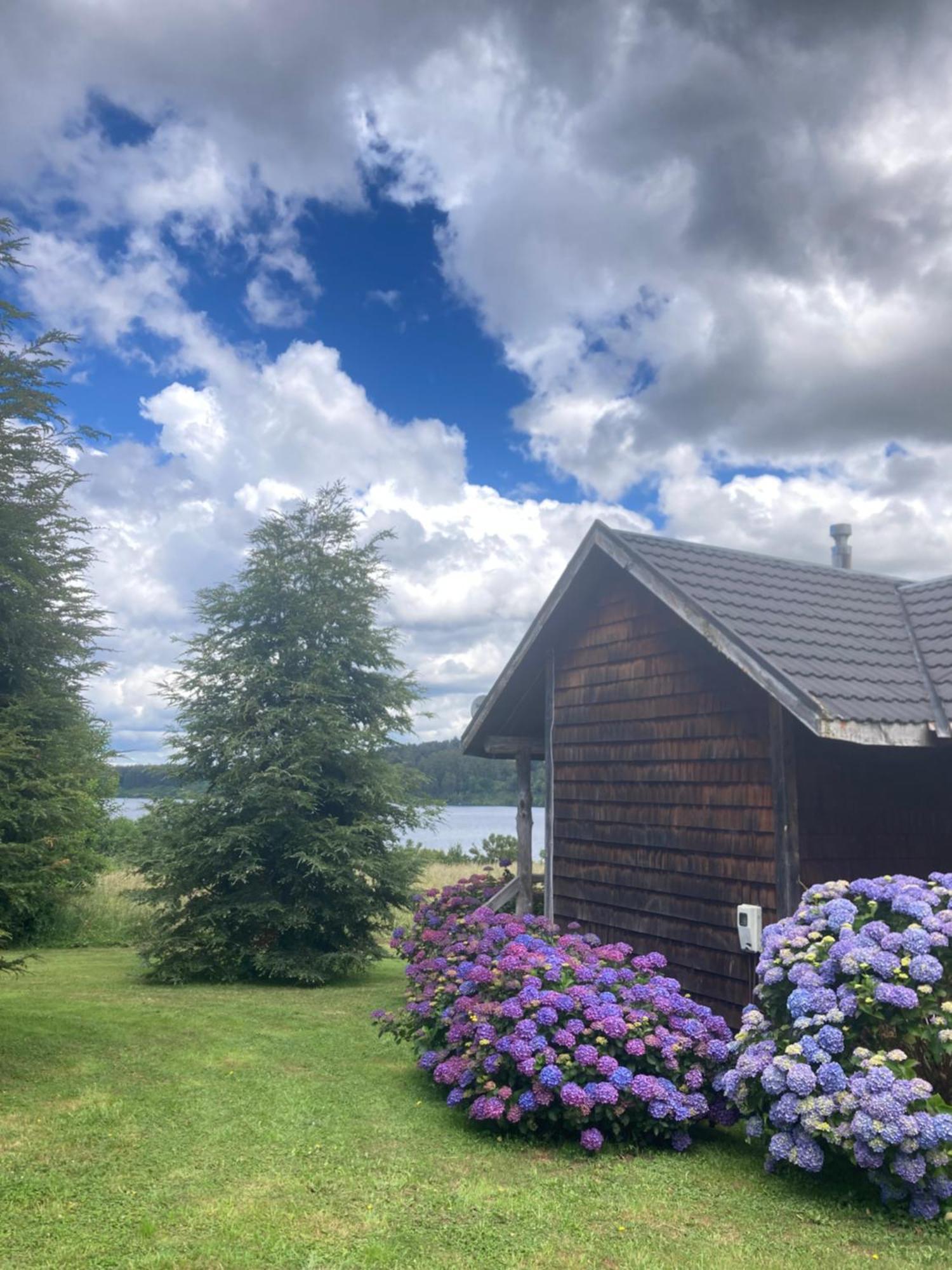 Antuquelen Lodge Cabanas Фрутильяр Екстер'єр фото